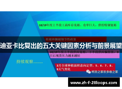 迪亚卡比复出的五大关键因素分析与前景展望