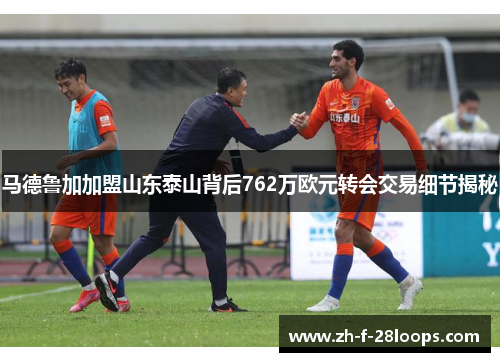 马德鲁加加盟山东泰山背后762万欧元转会交易细节揭秘