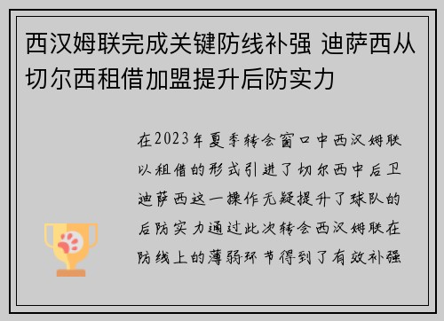 西汉姆联完成关键防线补强 迪萨西从切尔西租借加盟提升后防实力