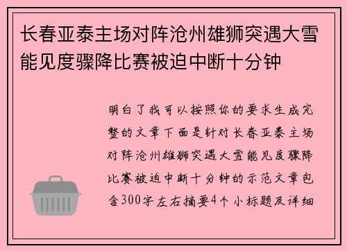长春亚泰主场对阵沧州雄狮突遇大雪能见度骤降比赛被迫中断十分钟 长春亚泰主场对阵沧州雄狮突遇大雪能见度骤降比赛被迫中断十分钟